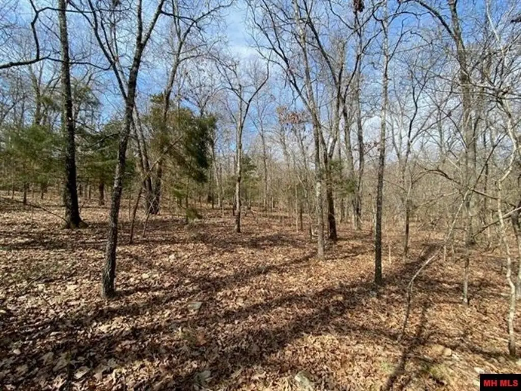 Picture 4