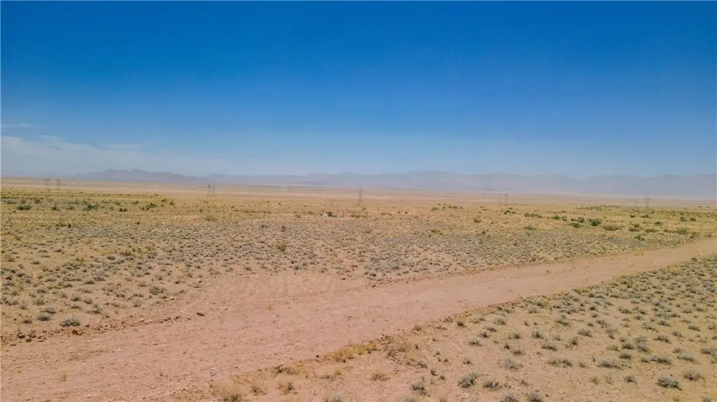 Picture 5
