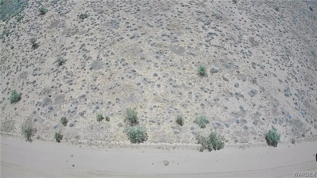 Picture 8