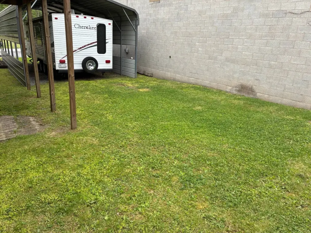 Picture 5