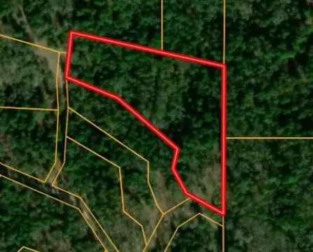 Residential Land in Montalba, Texas