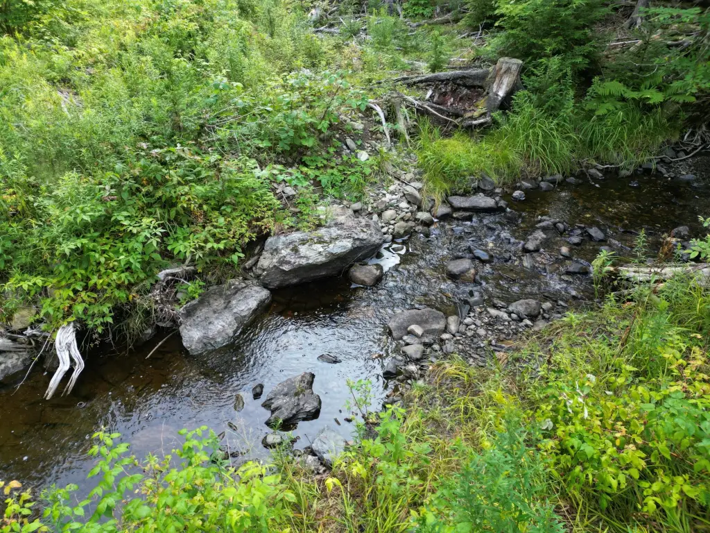 Picture 4