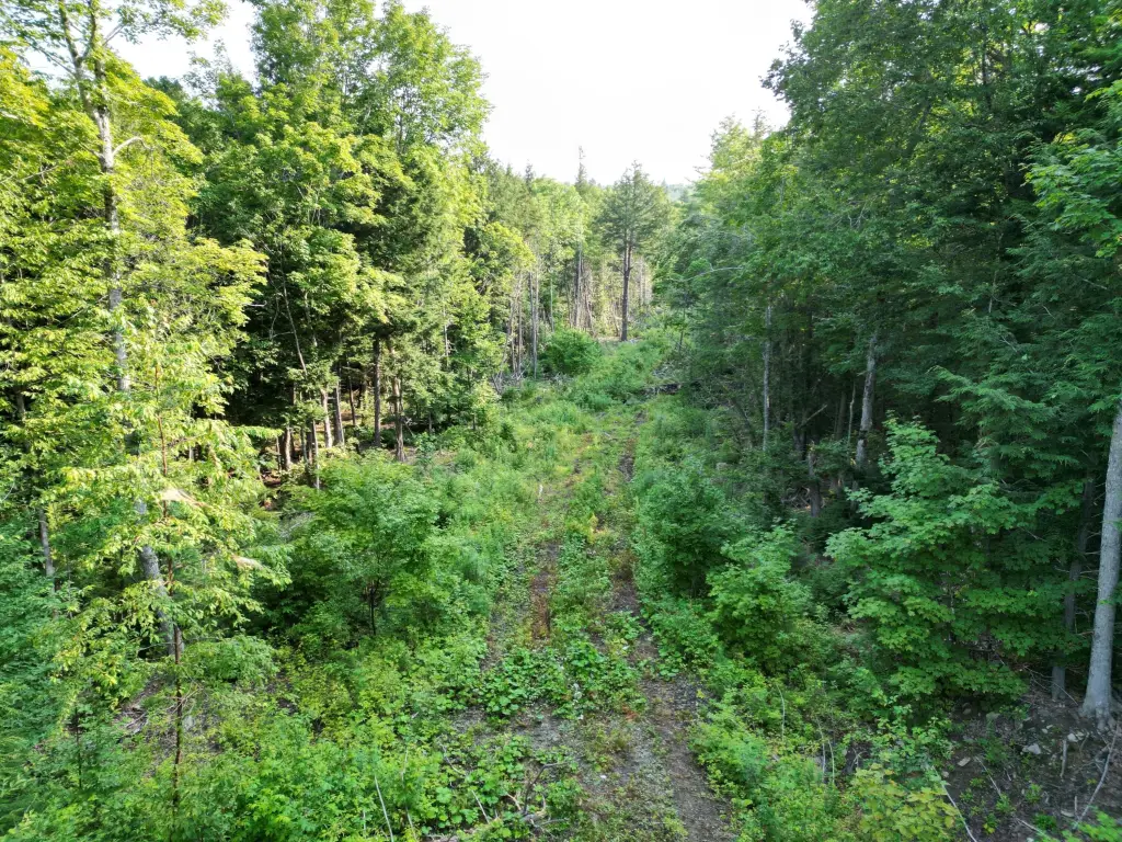 Picture 3