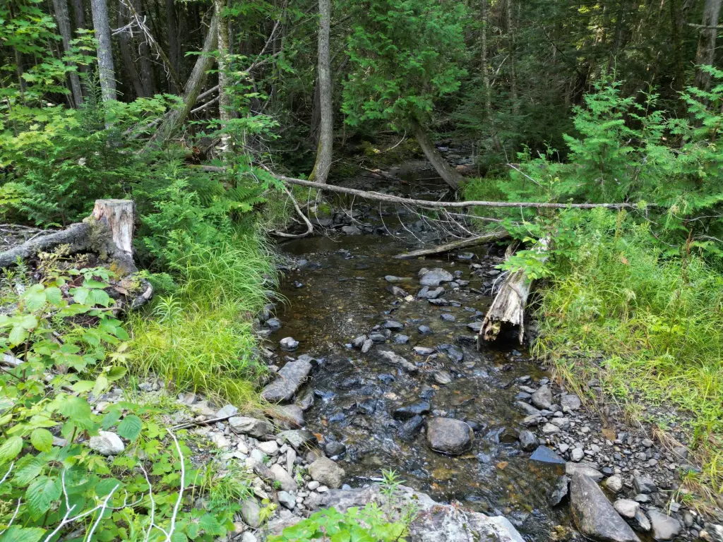 Picture 5