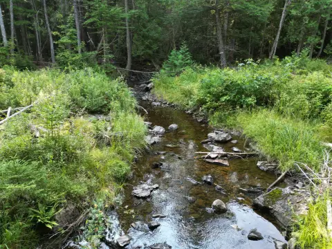 Maine Wilderness Land with Brook