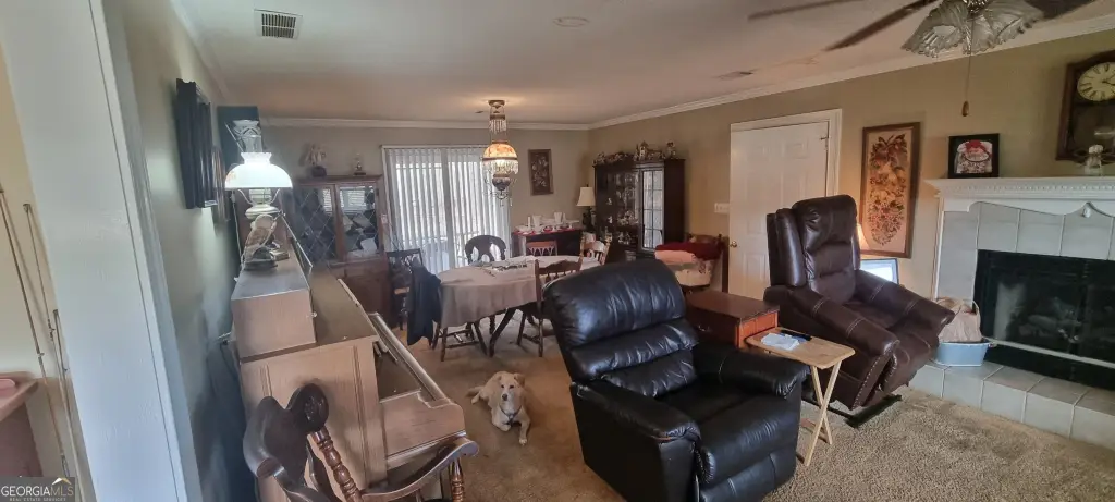 Picture 14