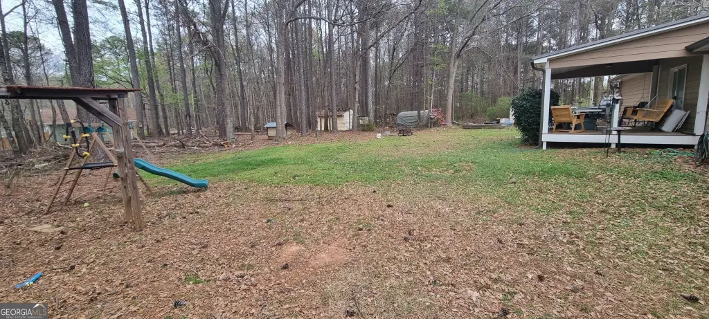 Picture 5