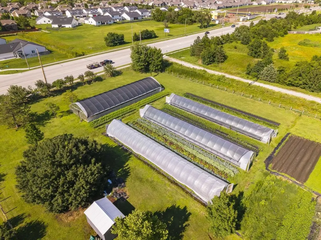Picture 13