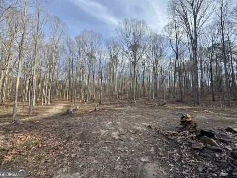 Wooded Land in Franklin, Georgia