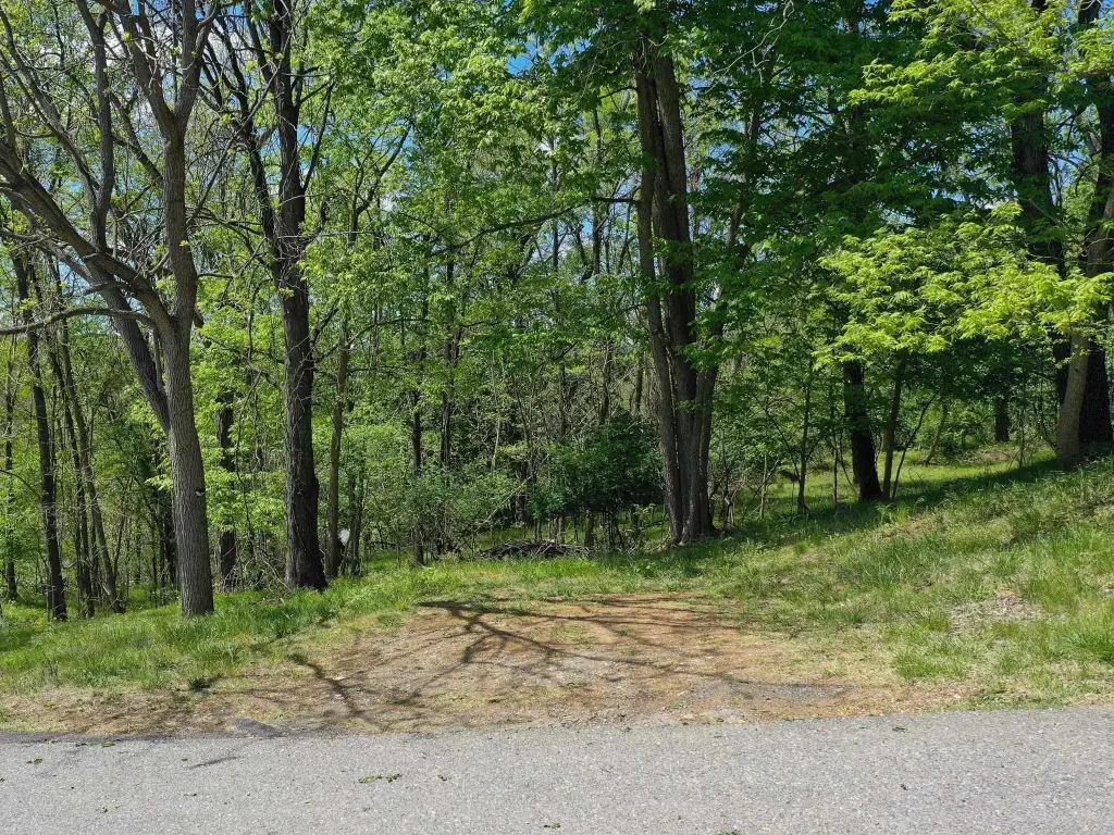 Picture 3