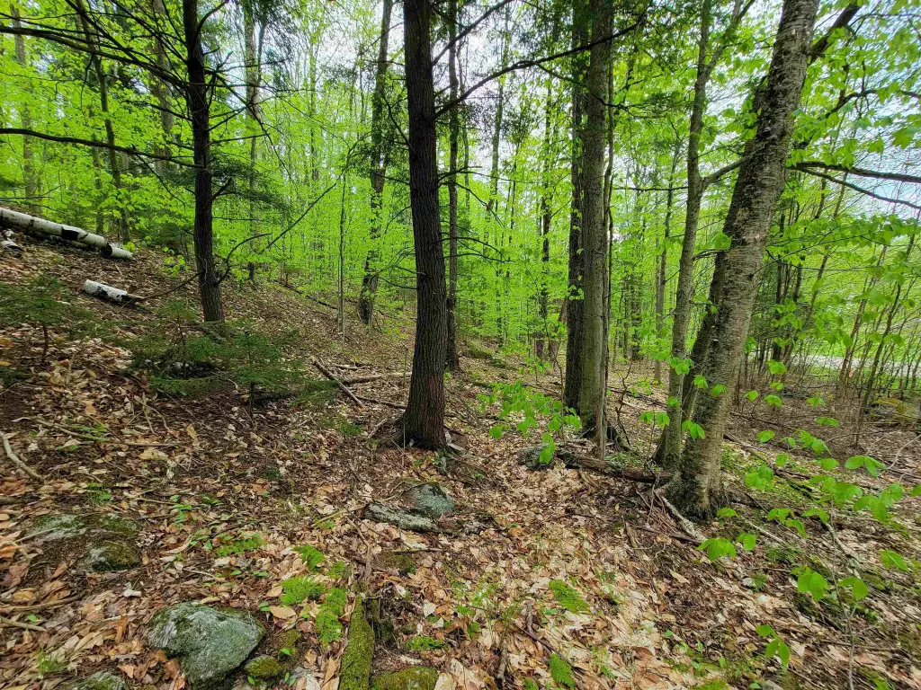 Picture 41