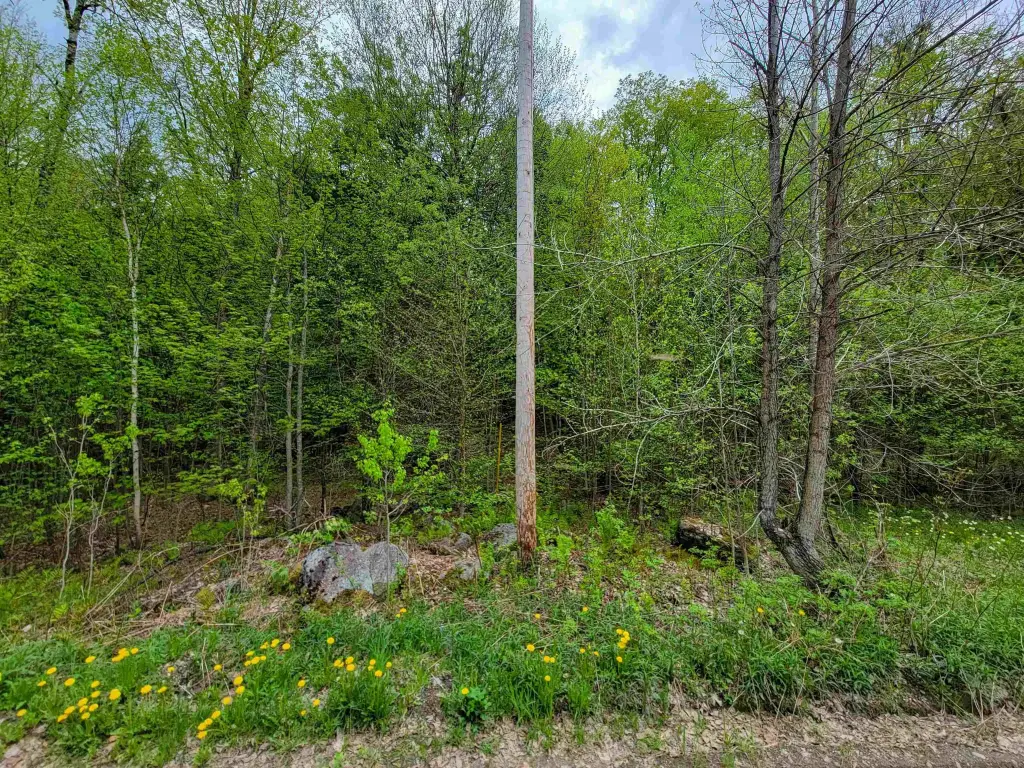 Picture 18