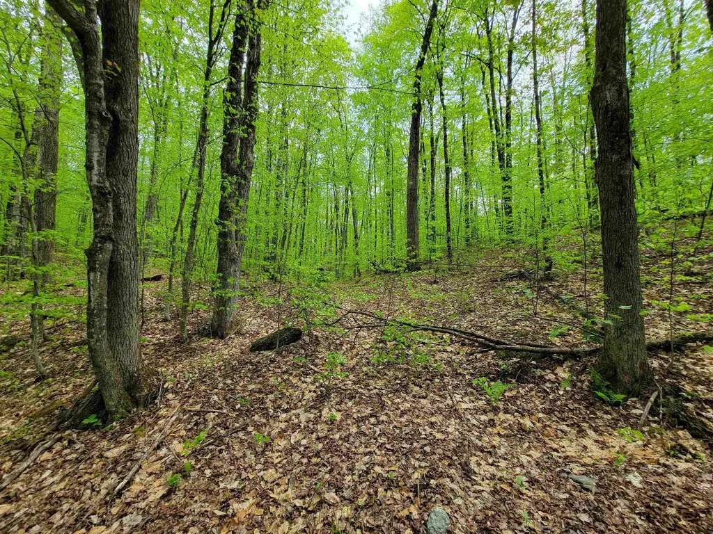 Picture 46