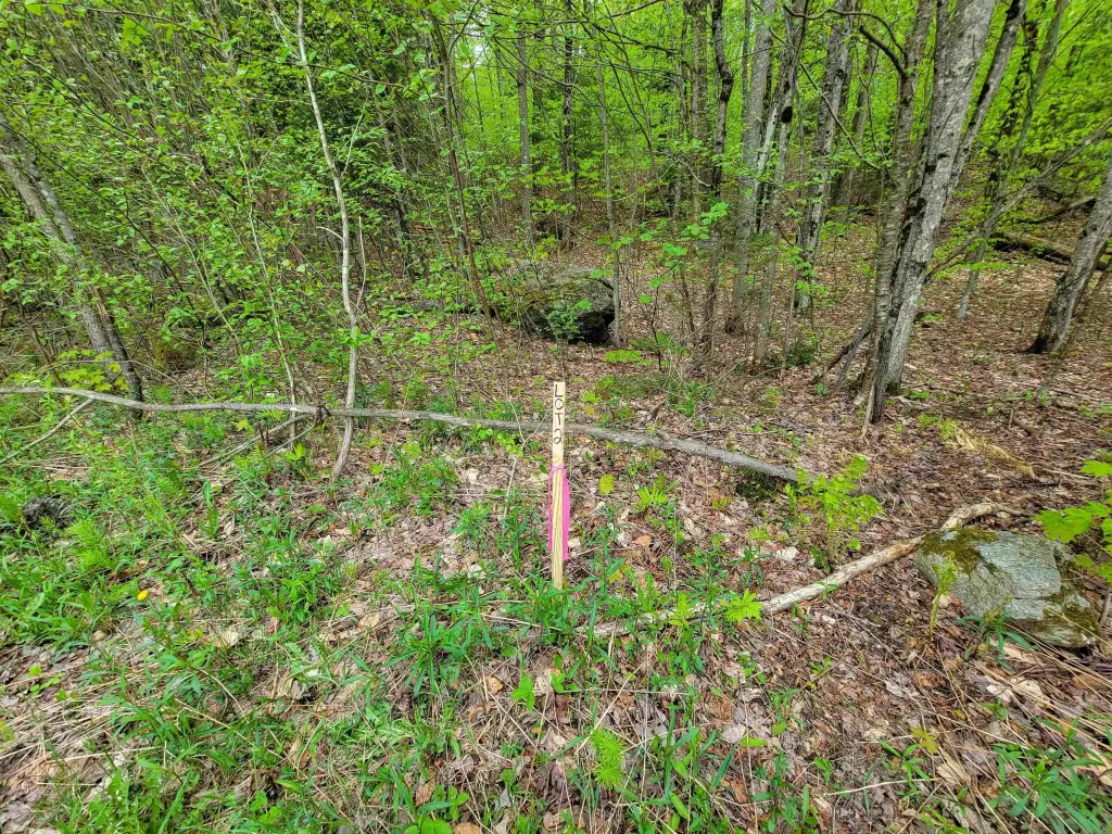 Picture 15