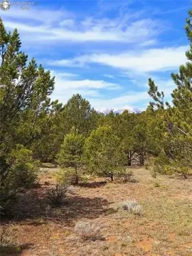 Mountain-View Land