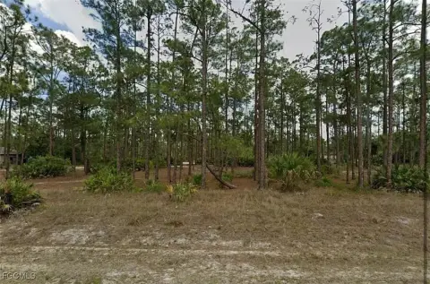 Residential Lot in Lehigh Acres