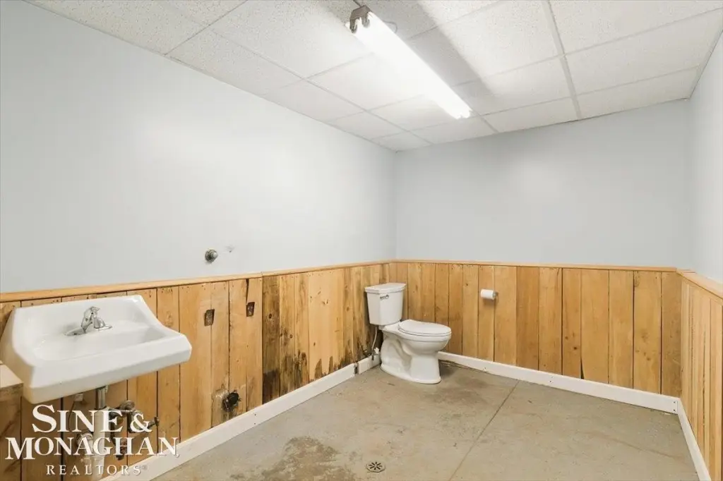 Picture 15