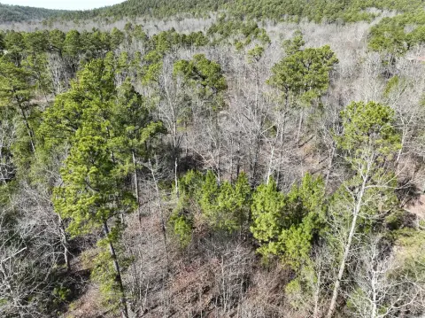 Land Near Wolf Pen Gap