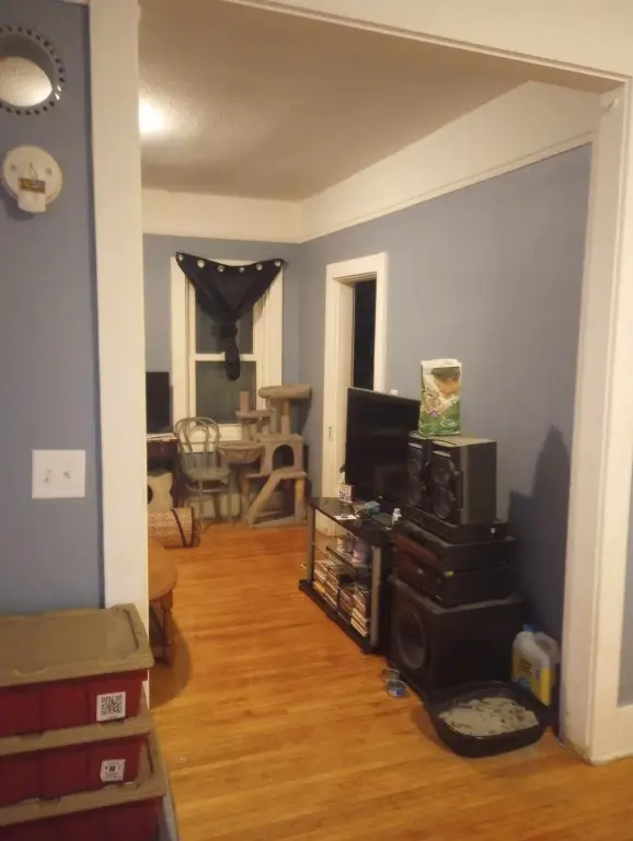 Picture 17