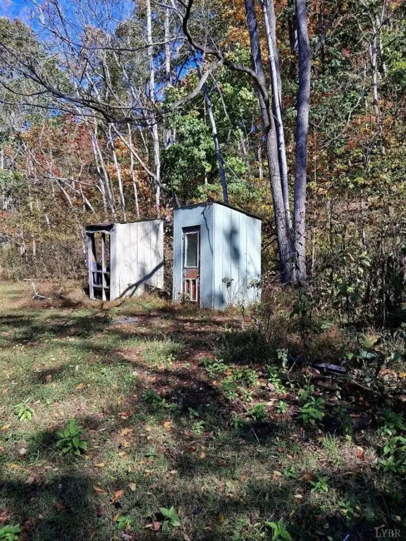 Picture 15