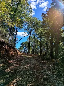 Mountain-View Hunting Land