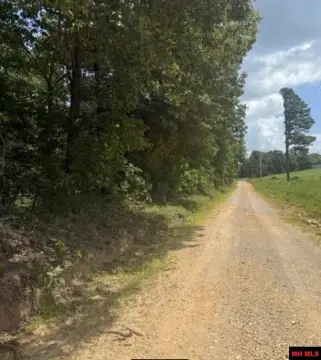 Wooded Hunting Tract