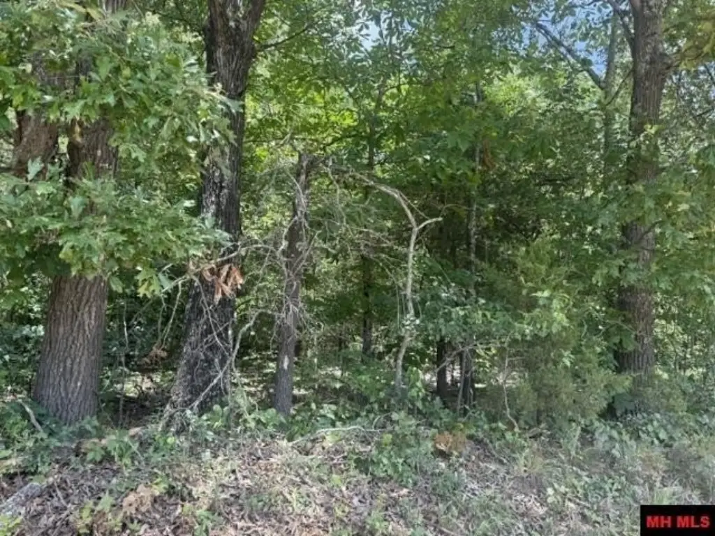 Picture 3