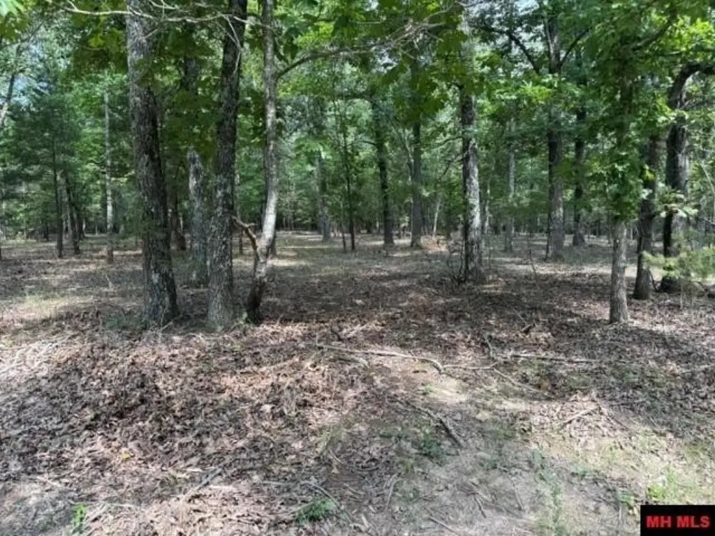 Picture 12