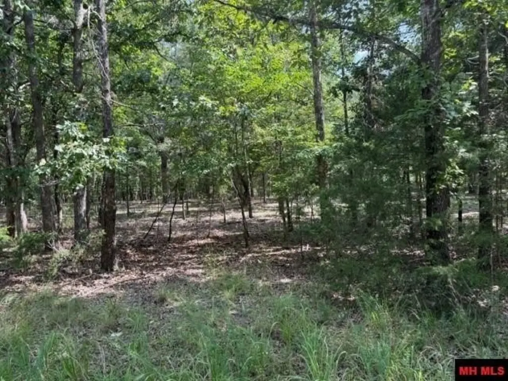 Picture 13