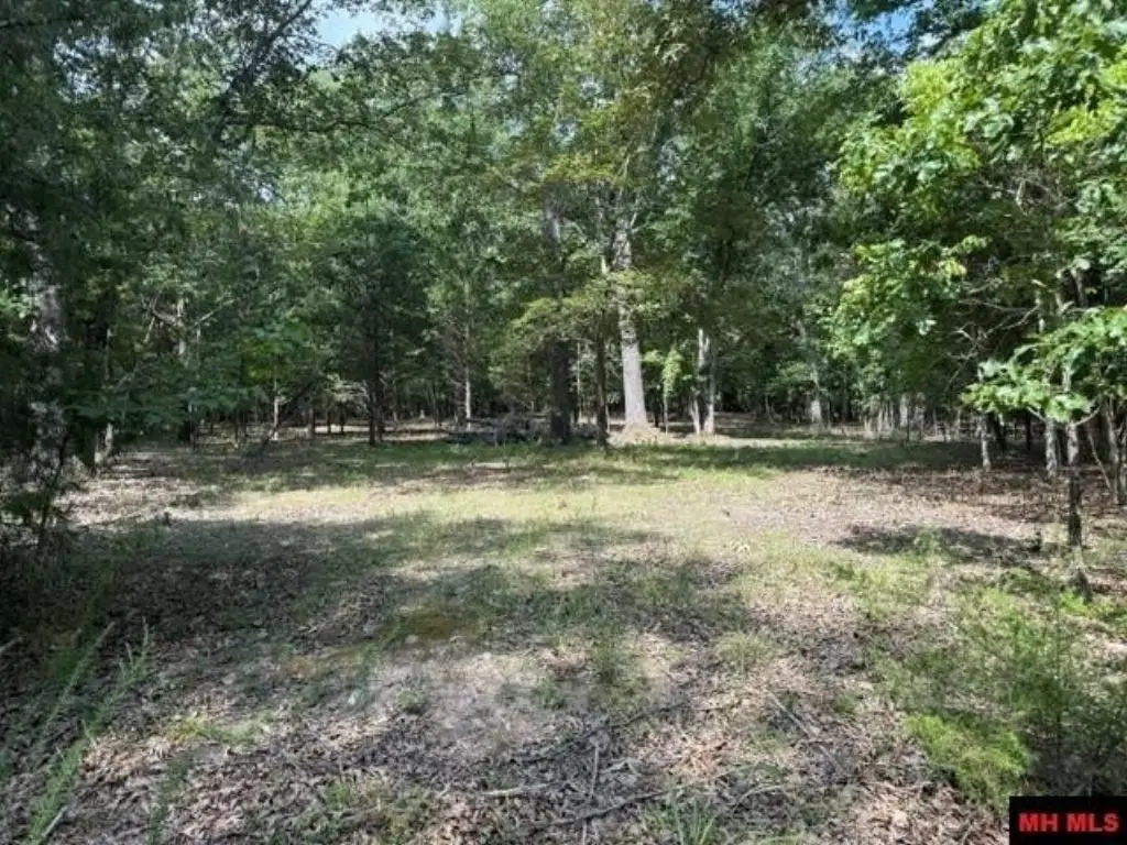 Picture 9