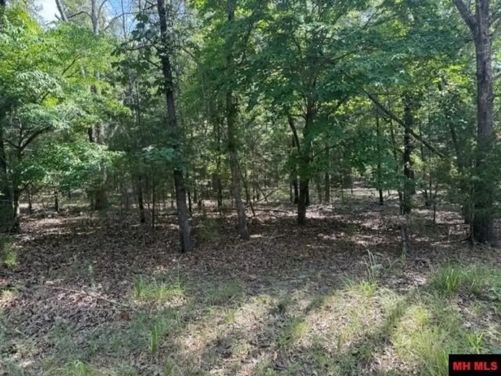 Picture 14