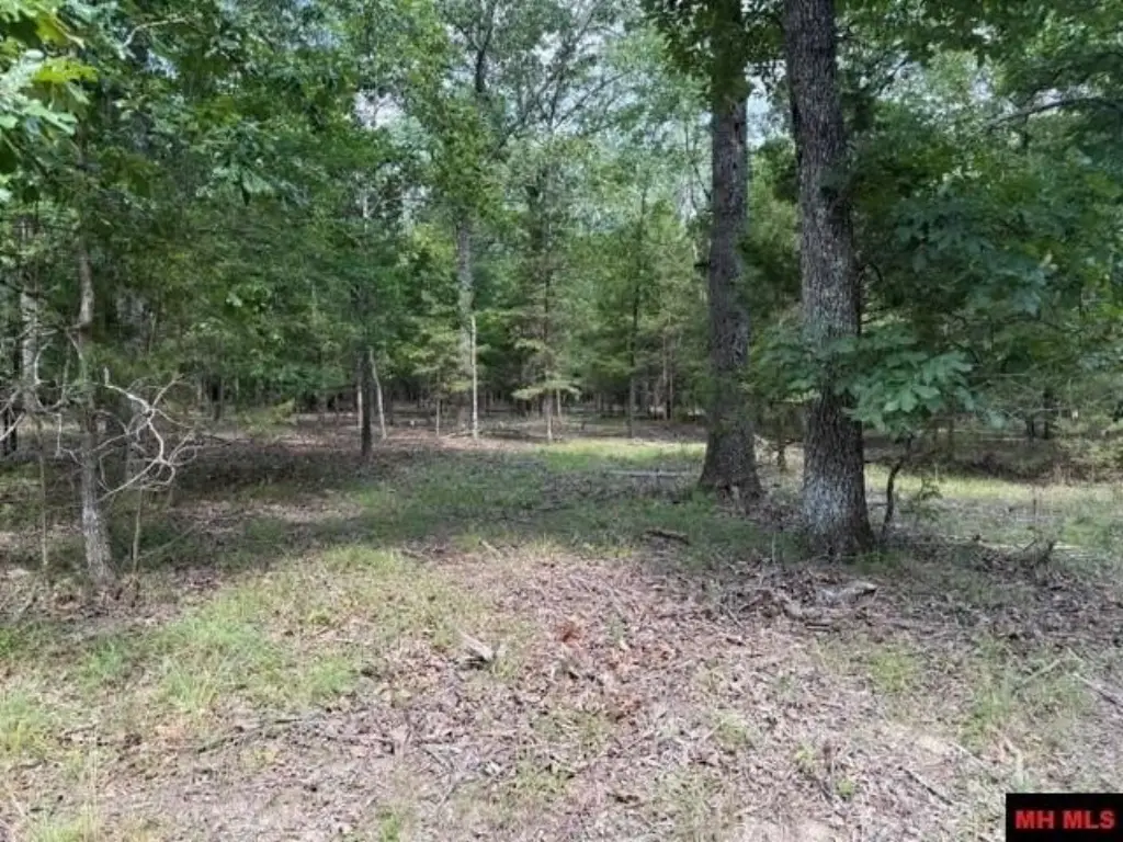 Picture 11