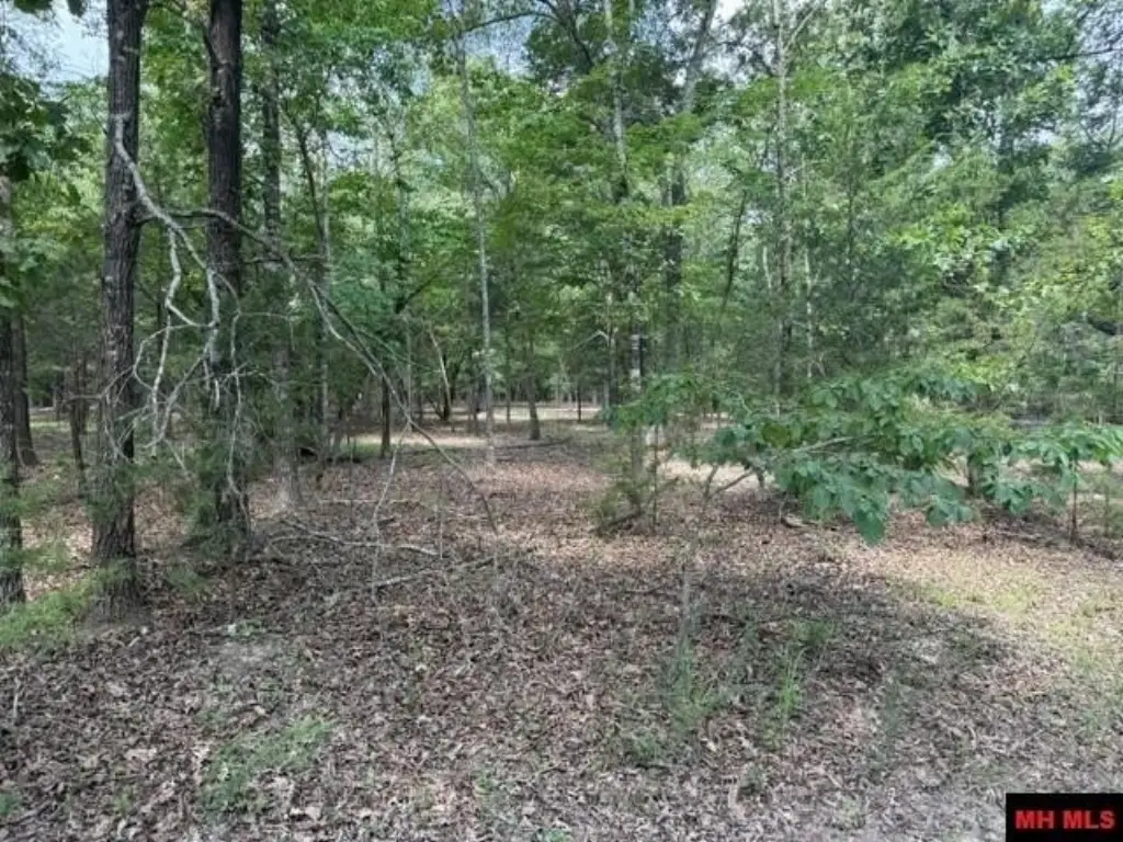 Picture 10