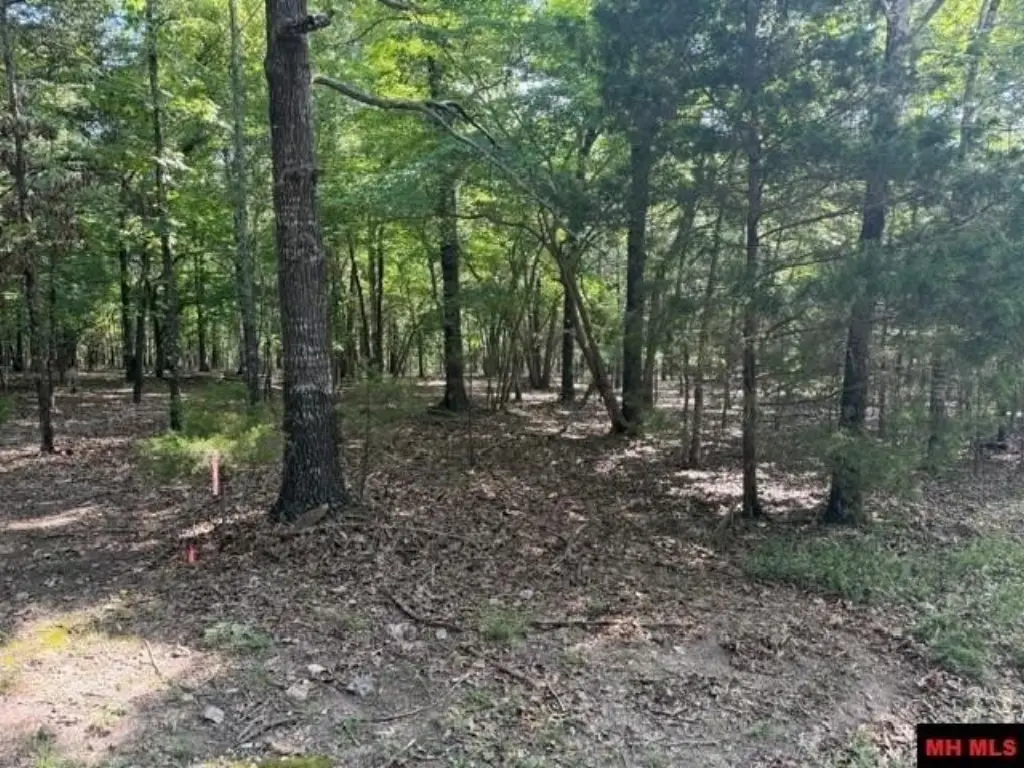 Picture 15