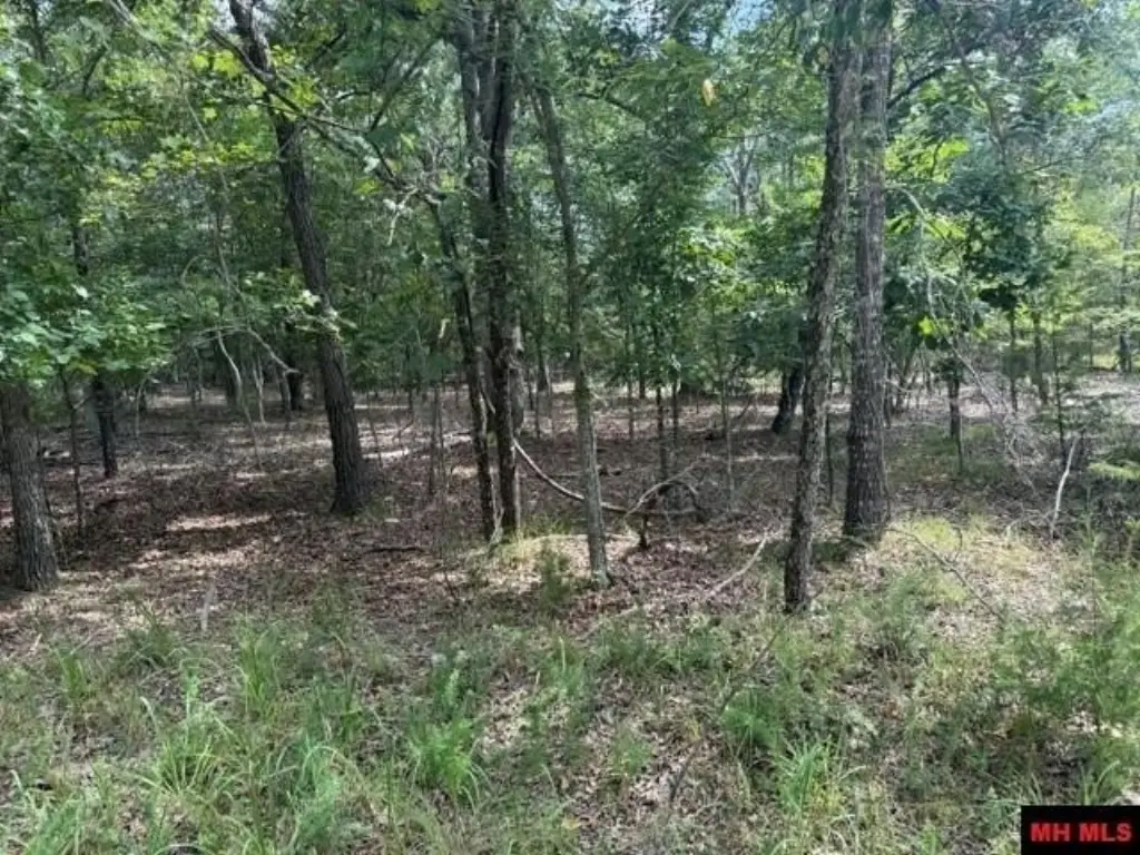 Picture 6