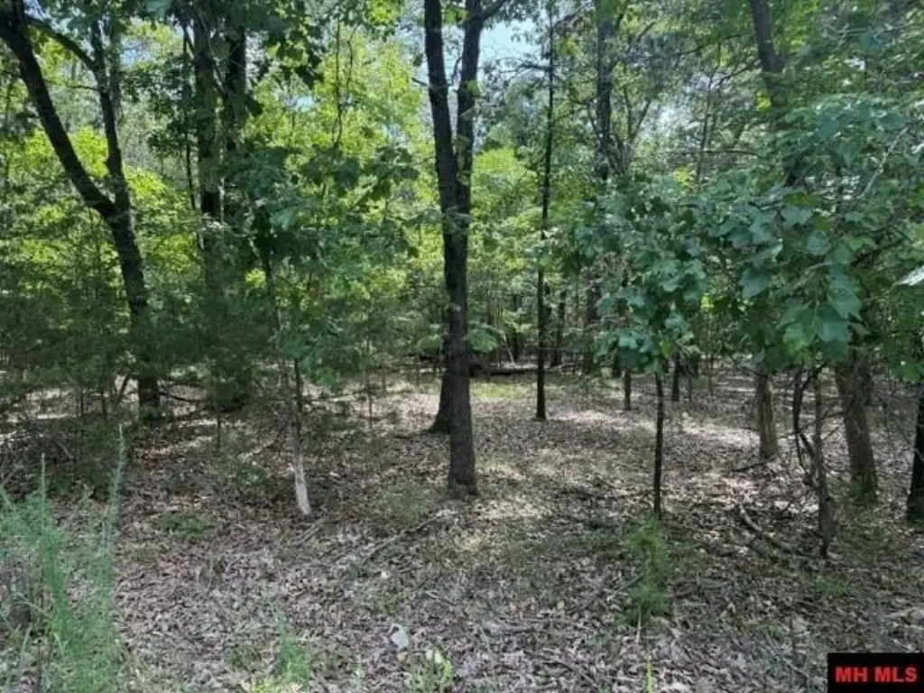 Picture 10