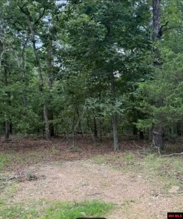 Picture 3