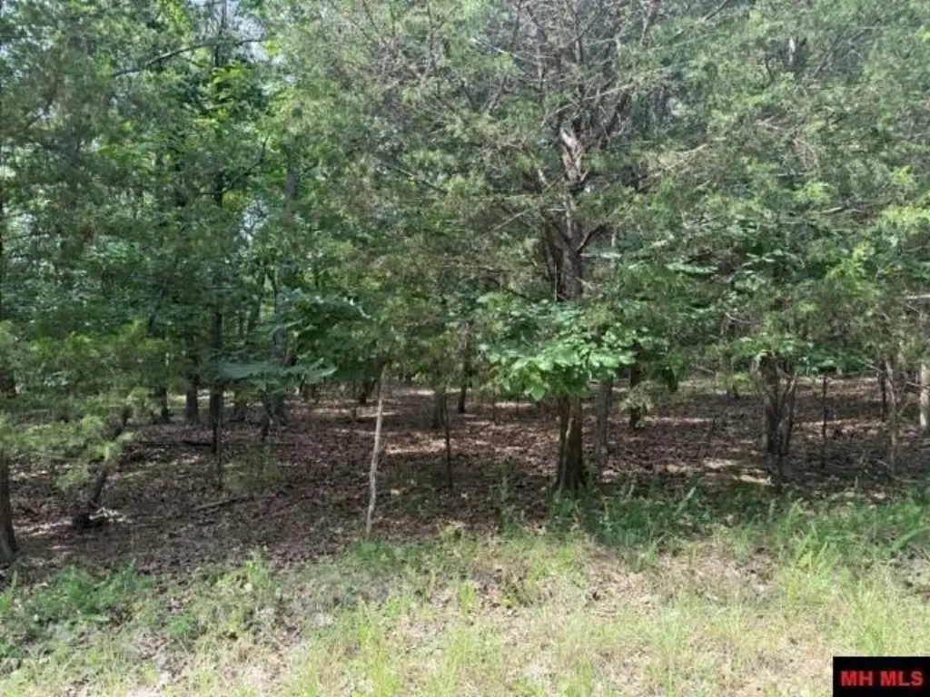 Picture 4