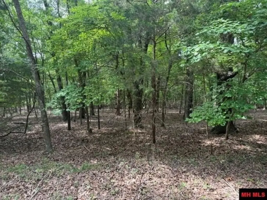 Picture 2