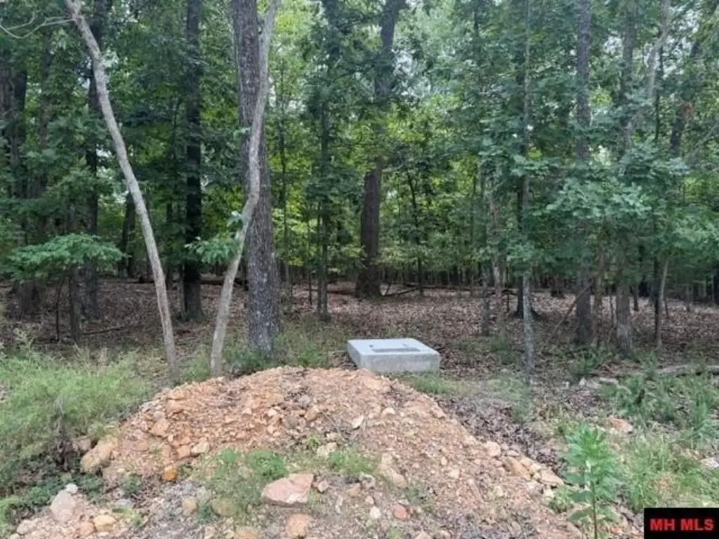 Picture 6