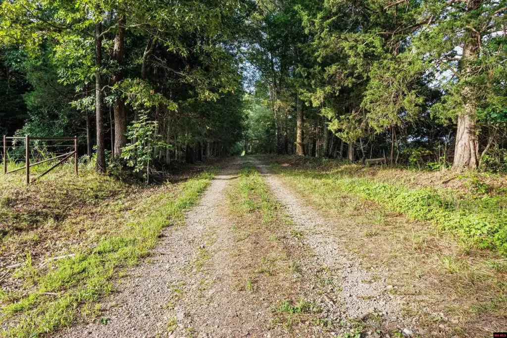 Picture 20
