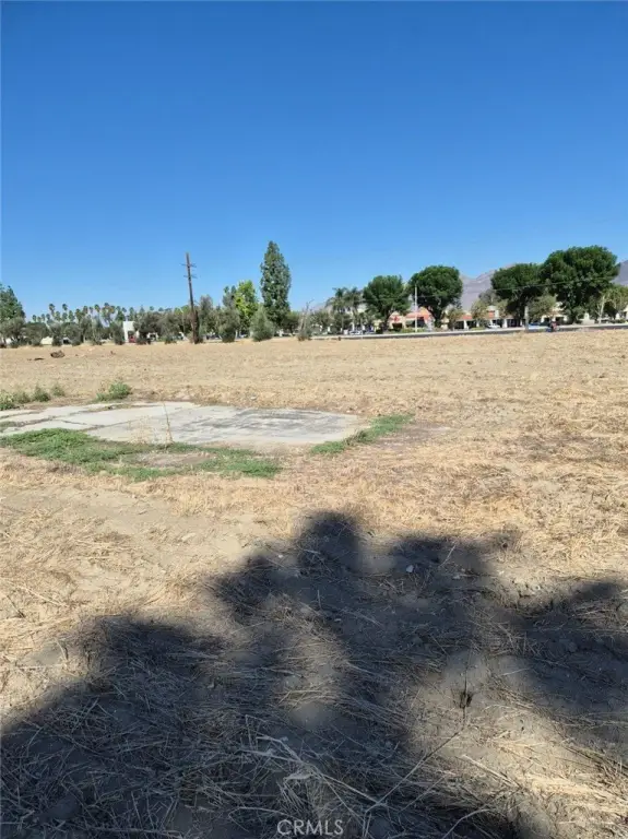 Picture 19