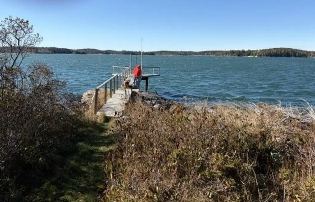 Picture 6