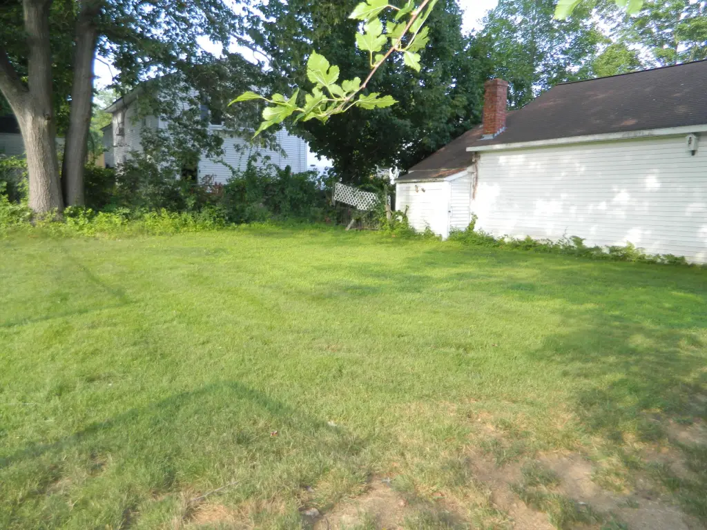 Picture 5