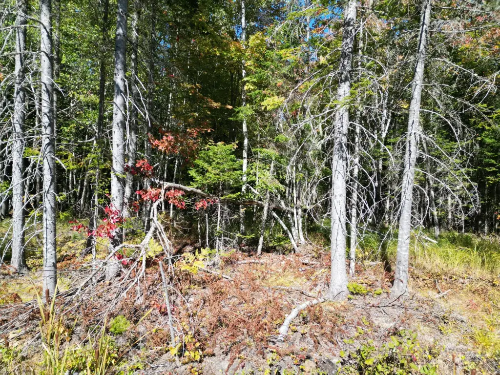 Picture 24
