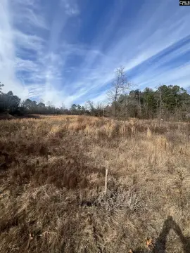 Residential Land in Leesville, SC