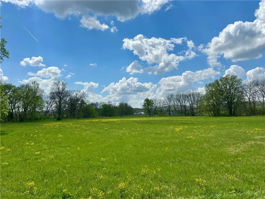 Picture 25