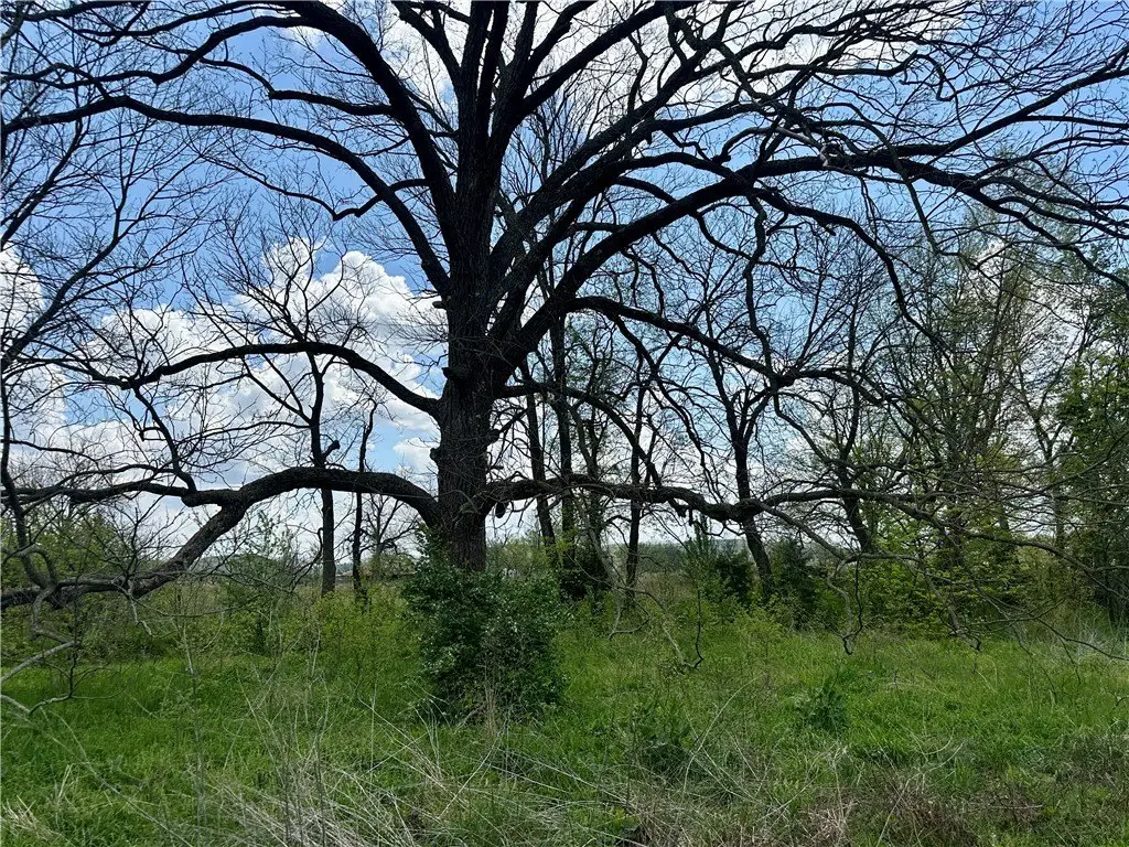 Picture 27