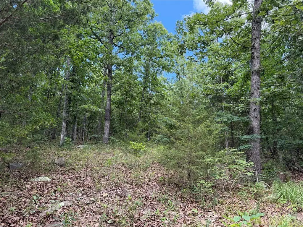 Picture 23