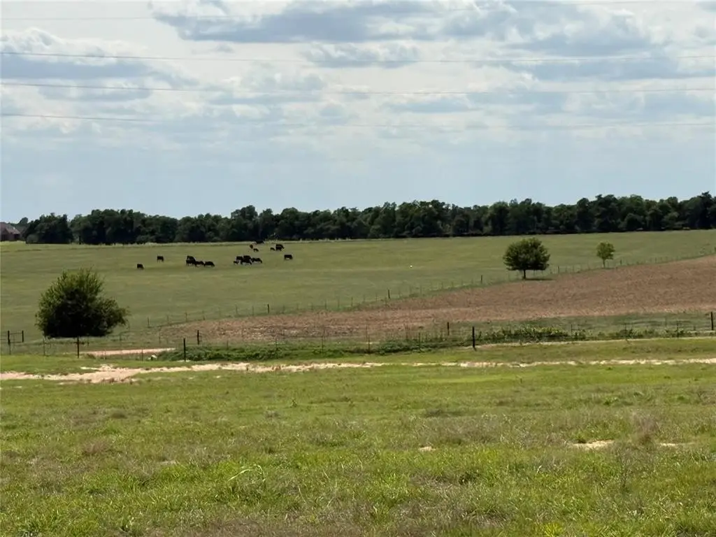 Picture 21